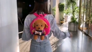 Balo mầm non cún nâu siêu đáng yêu dành cho bé