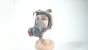 HIGHEST SAFETY FACTOR: 7 in 1 Full Face Chemical Spray Painting Respirator Vapour Gas Mask For 6800