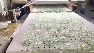 5 In 1 Camellia laundry gel Scented Capsule Aromatherapy Pods Capsules Cleaning Power 洗衣凝珠