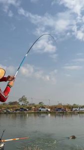 คันชิงหลิว GW BLUE MAHSEERS 10H (บลูมาห์เซียร์10H) ของแท้100% คันเบ็ดชิงหลิว - Lazada