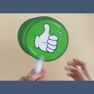 10PCS/Pack True & False Sign Yes & No Paddles Thumbs Voting Paddles Double-Side Thumb Paddles for Elementary Classroom Morning Meeting to Engage Students Handy Teacher Classroom Event Supplies Plastic Sign for School Student Early Education Vote Shows