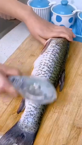 อุปกรณ์ถอดเกร็ดปลา ป้องกันไม่ให้เกล็ดปลากระเด็น🐠🎣