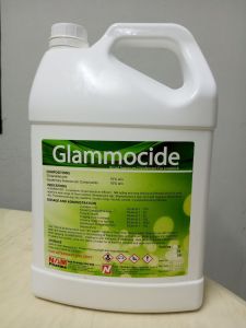 Glammocide  Pembasmi kuman kurangkan lalat terbaik Repack 100ml