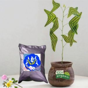 Media Tanam Intan Flora agriculture aroid mix Siap Pakai premium untuk segala jenis tanaman