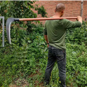 ตะขอ ดิจิทัล ที่มีดตะขอแต่งช่อ สำหรับกิ่งไม้ ก้านกล้วย และอื่น ๆ อย่างไรก็ตาม มีดตะขอ ใบมีดโค้ง เคียวญี่ปูน