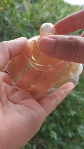 จุกแปะครอบให้นมแม่ พร้อมกล่องเก็บ จุกครอบซิโคนครอบ สำหรับคุณแม่ที่ทนเจ็บมานาน