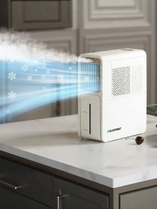 Blaupunkt | Cooling Ice Mist Fan for Kitchen