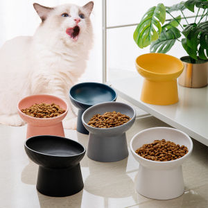 The Ultimate Guide to Tilted Cat & Dog Food Bowls & Accessories