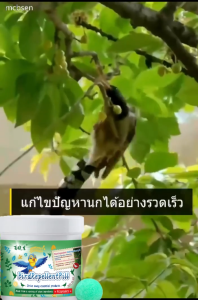 🐦10000เมตรไม่มีนก ก้อนไล่นกพิราบ 12 แคปซูล/กล่อง การกำจัดที่มีประสิทธิภาพและยาวนาน ใช้ในบ้านและนอกบ้าน นกพิราบบินไปทันทไล่นก ก้อนไล่นก ที่ไล่นก ไล่นกพิราบ ใช้งานง่าย ทำจากสารสกัดธรรมชาติ ไม่เป็นอันตราย ขับไล่นกต่างๆี