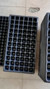 【Buy 10 Take 10 】Seedling Tray 32/72/128 Holes Garden Starter Trays Strength Seed Plant Flower Pot