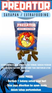 Extrafooding ayam PREDATOR jalu aji