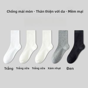 MiiOW | Tất cotton không xương cho nữ mùa hè 2025 Tất dài đến bắp chân kháng khuẩn thấm mồ hôi Tất cotton thoải mái thoáng khí