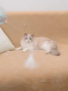 SIMPLE.Jแปรงเก็บขนสัตว์เลี้ย แปรงเก็บขนตามเสื้อผ้า แปรงกำจัดขนสัตว์ หมา แมว ทำความสะอาดได้ง่าย กำจัด ขนสัตว์ที่ติดเสื้อผ้า โซฟา พรมPet hair removal brush