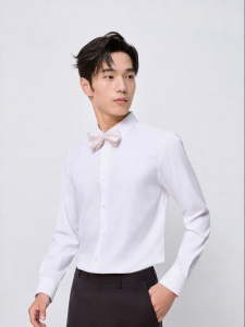 Mens Business Shirt Long Sleeve Thin