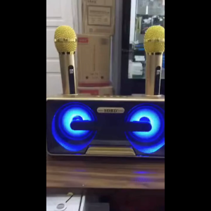 Loa karaoke SD-301 không dây âm thanh rõ nét bass ấm loa Bluetooth mini tiện mang theo dùng nghe nhạc karaoke