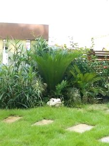 Garden Hose Reel Portable 50 meter - Tempat Gulungan Roll Selang Portable 50m