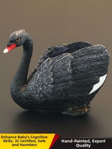MENGSILE | Realistic Educational Toy Model Black Swan