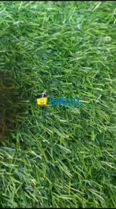 (1BIJI ISI 80 SHEET) JOYKO MEMO STICK MMS 1