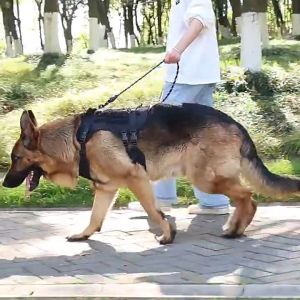 Harnes Anjing Besar HARX1: Harness Rompi Anjing Desain Ergonomis