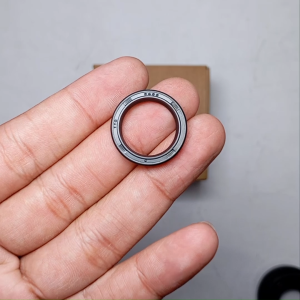 Seal Sc 18 24 4 TTO Original TTO INB JOGJA