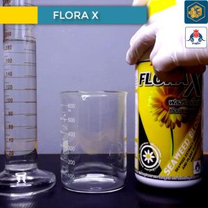 Flora X ขนาด 1ลัง(1 ลิตรx12ขวด) สาหร่ายเปิดตาดอก สูตรเฉพาะเพื่อชักนำการออกดอกทั่วต้น สะสมอาหาร