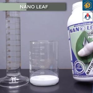 Nano Leaf นาโนลีฟ ขนาด 500 cc สารจับใบ คุมไข่แมลง กำจัดแมลง คุณภาพสูง เพิ่มการดูดซึมปุ๋ย ลดการสูญเสียอาหาร ทนฝน