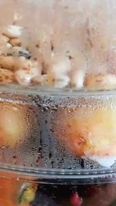 BOLDe Electric Steamer 3S MCP-22 Kukusan Listrik dengan Timer dan Tutup Kaca Transparan 285 Liter 300W Stainless Steel 304