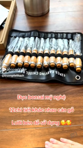Bộ dụng cụ mài gỗ 12 chiếc với tay cầm gỗ và lưỡi thép phù hợp cho các công việc chạm khắc và cắt gỗ.