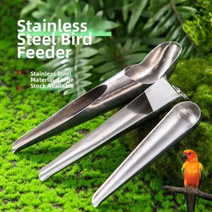 TEKANAI | Bird Stainless Steel Feeder Spoon Shovel