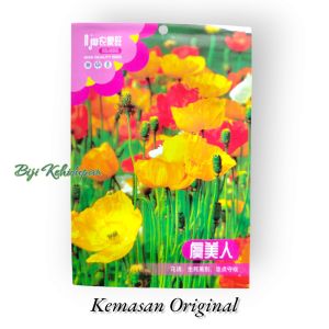 BENIH BUNGA ICELAND POPPY (KEMASAN ORIGINAL)
