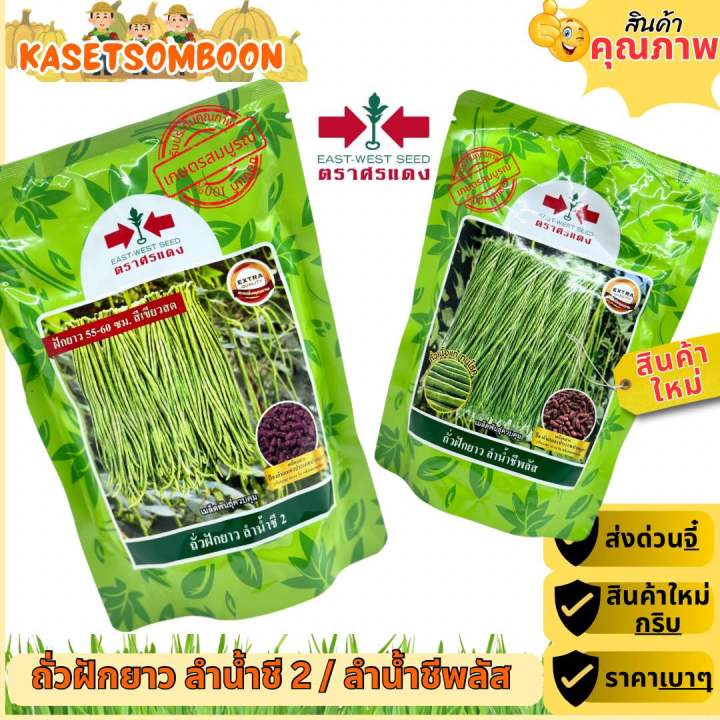 เมล็ดพันธุ์ถั่วฝักยาว ลำน้ำชี2 และ ลำน้ำชีพลัส ตราศรแดง ฝักดก สีเขียวสด
