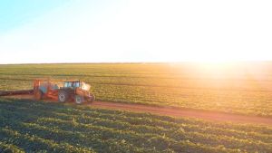 Catfit Organic Matcha Powder Detox Loss weight  For Dessert Pastry Baking Drink Vegan Gluten-free Rich In Antioxidants