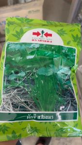 ศรแดง ผักชี สายสมร (ขนาด 350 กรัม) หมดอายุ 02/07/2569  ลอตใหม่ กอใหญ่ กลิ่นหอม รากใหญ่ ออกดอกช้า ผลผลิตสูง ระยะเก็บเกี่ยว 45-55 วัน