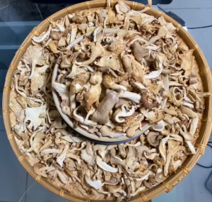 Nấm Bào Ngư Khô 200g Xám loại 1 Dai Ngon Giòn (hỏa tốc hcm 2h)