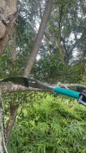 Xpole Extendable Tree Pruner for Home Use (5M length with ProSaw)