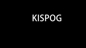 10 Pcs/Sets Silicone Dehydrator Sheets for Food Dehydrator & Freeze Dryer 14x14 in