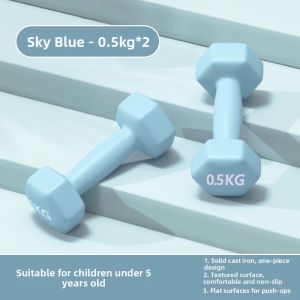 Womens Home Use Cast Iron Dumbbells