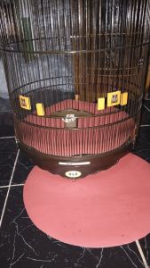 sangkar murai.no. 2 soloan merk D&R coklat salak tebok ceper bambu