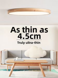 DGY | New Style LED Japanese Style Ceiling Light