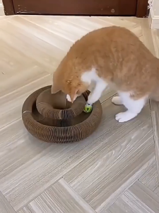 บอลแมว ที่ลับเล็บแมว ใหม่ มายากล อวัยวะ ของเล่นแมว รางบอลแมว บ้านลับเล็บแมว หนา ไม่มีเสียงรบกวน