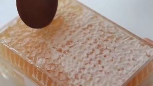 HoneyComb 500G Free Wooden Spoon Madu Asli Sarang Lebah Madu Sarang Honey comb 蜂蜜巢 蜜蜂巢 巢蜜 Hamper Christmas CNY