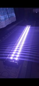 lampu tanning arwana 30 mata 3 watt (90 watt) 30.000k 100cm