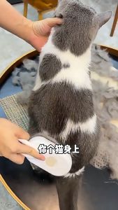 Cat Steam Brush Steamy Dog Brush 3 in 1 Electric Spray Cat Hair Brushes for Massage Pet Grooming Comb Hair Removal Combs