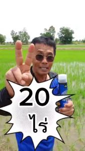 4Tree Booster (โฟร์ทรี 2 ซอง + บูสเตอร์ 1 ขวด) คู่หูพลังดูดซึมไว ทนโรค ทนหนาว ทนแล้ง สำหรับพืชทุกชนิด สกัดจากไคโตซานบริสุทธิ์ ของแท้ 100%