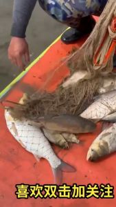 Jaring tuang tangan sutera gam monofilamen benang nilon jaring berputar jaring pemutus tangan frisbee mata sempit tebal jaring membaling model baru frisbee