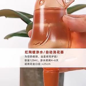 OXO Bird Automatic Watering Device Lazy Business Trip Watering Artifact Household Bonsai Greenery Flowers and Plants Water-Dropper Water Dispenser