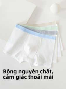 MiiOW | Quần lót nam trẻ em kháng khuẩn MiiOW Quần lót nam bé trai Quần lót nam trung niên và tuổi teen Quần lót nam học sinh trung học cơ sở