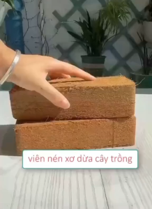 Viên Nén Xơ Dừa - Mùn Dừa - Mụn Dừa Ép Bánh Đã Qua Xử Lý làm Giá thể Trồng Rau Sạch Rau Mầm trồng hoa kiểng
