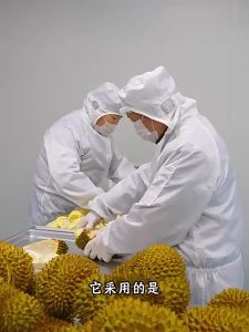Dried Frozen Durian 500g