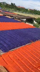 Mì rau củ hỗ trợ ăn kiêng giảm cân tốt cho sức khỏe 1kg